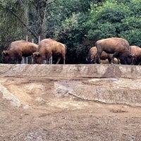 Foto tomada en Zoológico de Chapultepec  por Edgar P. el 4/24/2024