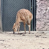 Photo taken at Zoológico de Chapultepec by Edgar P. on 4/24/2024