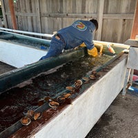 Photo taken at American Abalone Farms by Karla on 11/21/2021
