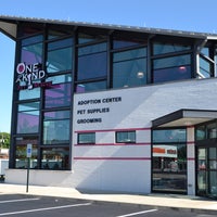 One Of A Kind Pet Rescue Northwest Akron 1929 W Market St One Of A Kind Pet Rescue Northwest Akron 1929 W Market St