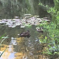 Photo taken at Цветочный пруд by Олеся Х. on 6/15/2017