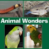 Снимок сделан в Animal Wonders пользователем Animal Wonders 9/13/2021