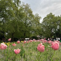 Photo taken at Victoria Embankment Gardens by Sul. on 5/5/2024