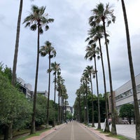 鹿児島大学 郡元キャンパス 鹿児島市 郡元1 21 24