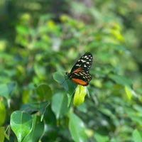 Photo taken at Butterfly Wonderland by T . on 7/8/2022