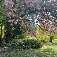 Photo taken at Washington Park Arboretum by Abdulkarim on 4/30/2022