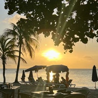 Moomba Beach - Beach Bar in Oranjestad