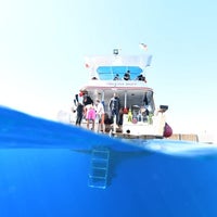 4/4/2021 tarihinde Amer B.ziyaretçi tarafından Coral Garden Diving Center'de çekilen fotoğraf