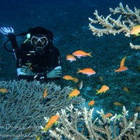 Photo taken at Coral Garden Diving Center by Amer B. on 4/4/2021