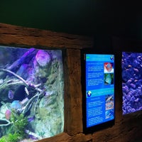 9/20/2019にMyst D.がVia Aquariumで撮った写真