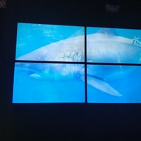 9/20/2019 tarihinde Myst D.ziyaretçi tarafından Via Aquarium'de çekilen fotoğraf