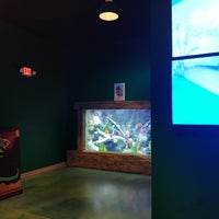 9/20/2019 tarihinde Myst D.ziyaretçi tarafından Via Aquarium'de çekilen fotoğraf