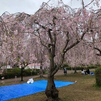 Photo taken at Tsutsujigaoka Park by Julia on 4/18/2018