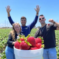 5/29/2022 tarihinde Shayla S.ziyaretçi tarafından U-Pick Carlsbad Strawberry Co.'de çekilen fotoğraf