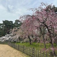 Photo taken at Kyoto Gyoen by リドル ト. on 4/6/2024