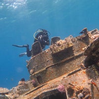 4/24/2021 tarihinde Coral s.ziyaretçi tarafından Coral Garden Diving Center'de çekilen fotoğraf