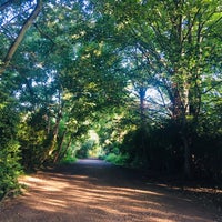 Photo taken at Parkland Walk (Crouch End to Highgate section) by Maresz on 8/4/2021