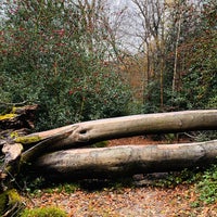 Photo taken at Epping Forest by Maresz on 11/26/2023