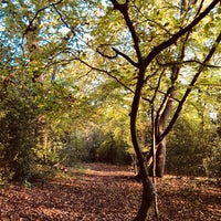 Photo taken at Queen&amp;#39;s Wood by Maresz on 11/9/2021