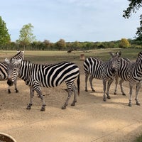 Photo taken at Tierpark Essehof by trekmann on 9/15/2019