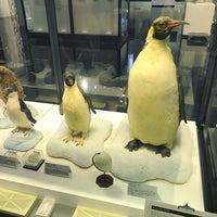 Photo taken at Polar Science Museum by あいちゃん on 4/15/2023