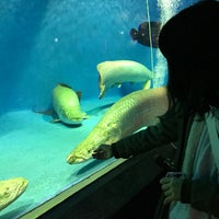 Photo taken at 上越市立水族博物館 by りる く. on 12/18/2016