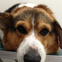 カインズホーム 上田店 上田市 長野県