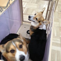 カインズホーム 上田店 上田市 長野県