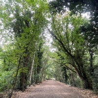 Photo taken at Parkland Walk (Crouch End to Highgate section) by Agnès C. on 9/3/2022