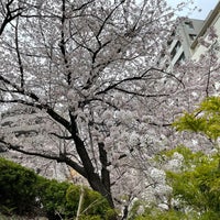 Photo taken at Miyamoto Park by nasu k. on 3/31/2022