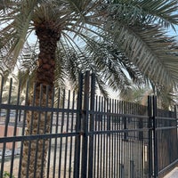 Photo taken at Al Hamra Park by Momo on 11/23/2023