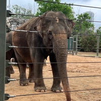 Photo taken at Houston Zoo by Mahan M. on 3/26/2023