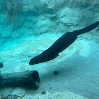 Photo taken at Houston Zoo by Mahan M. on 3/26/2023
