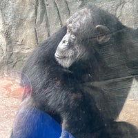 Photo taken at Houston Zoo by Mahan M. on 3/26/2023