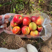 Photo taken at Mercier Orchards by Chelsea T. on 9/17/2022