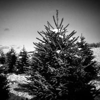 Foto tomada en Wyckoff&amp;#39;s Christmas Tree Farm  por Richard C. el 11/29/2014