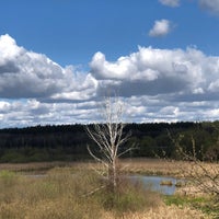 Photo taken at Святошинские озера (пруд 15) by Sasha on 6/14/2021