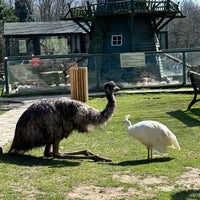 Foto tirada no(a) Polonezköy Hayvanat Bahçesi ve Doğal Yaşam Parkı por Natali F. em 5/14/2024