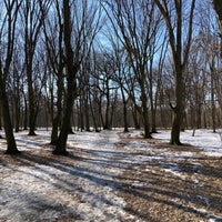 Photo taken at Парк «Дубки» / Сирецький гай by Oleksii M. on 3/11/2021