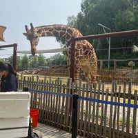 Das Foto wurde bei Zoo Atlanta von Kimmie O. am 7/17/2023 aufgenommen