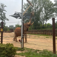 Foto scattata a Zoo Atlanta da Kimmie O. il 7/17/2023