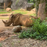 Снимок сделан в Zoo Atlanta пользователем Kimmie O. 7/17/2023