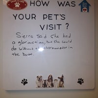 vca augustine loretto