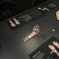 Photo taken at Body Worlds by 911 on 8/3/2023