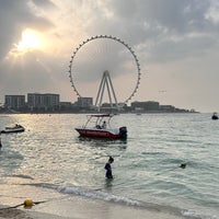 3/5/2024にMがThe Beachで撮った写真