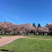 Photo taken at University of Washington by Maria J. on 3/16/2024