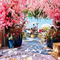 Paris Tokyo Sushi Restaurant