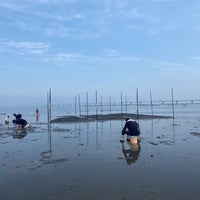 金田見立海岸潮干狩場 Praia Em 木更津市