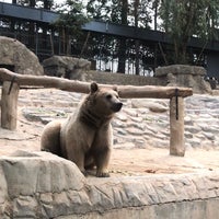 Photo taken at Tehran Zoo by MarziyeMohmdi on 11/2/2023