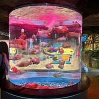 Photo taken at COEX Aquarium by K O. on 12/30/2023